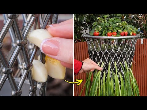 Grow & Glow Your Garden with Our Smart, Easy Hacks 🪴