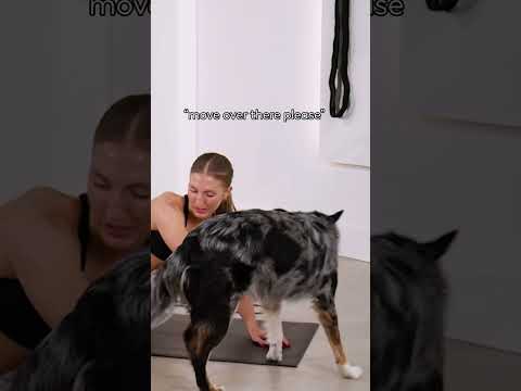 pov: your dog is overly clingy #shorts