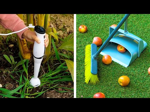 Amazing Plant Growing Hacks And Gardening Tips