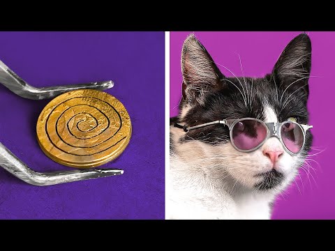 I MADE SUNGLASSES FOR MY CAT 😎🐱 Cool DIY Accessories And Craft Ideas