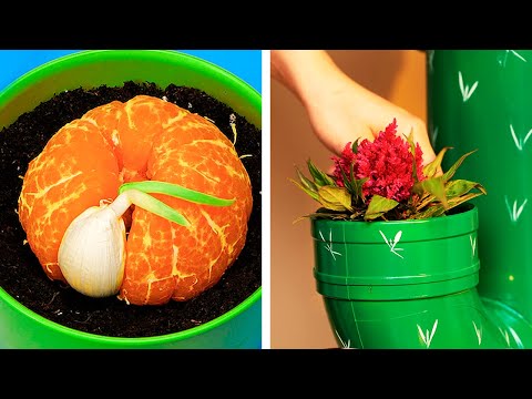 Grow any plants easily with these brilliant gardening hacks