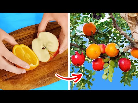 Cool Garden Ideas to Take Care of your Plants at High level