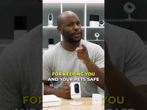 Top Security Systems for Pet owners!