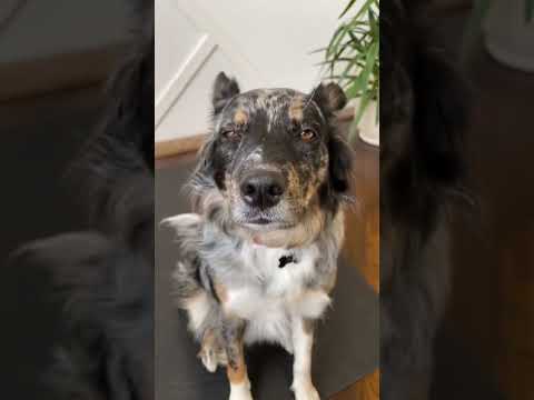 Me obsessed with you? 🤨