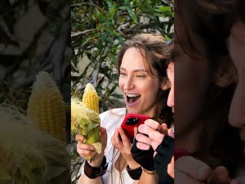 I just need a corn! Play Island Questaway! #shorts