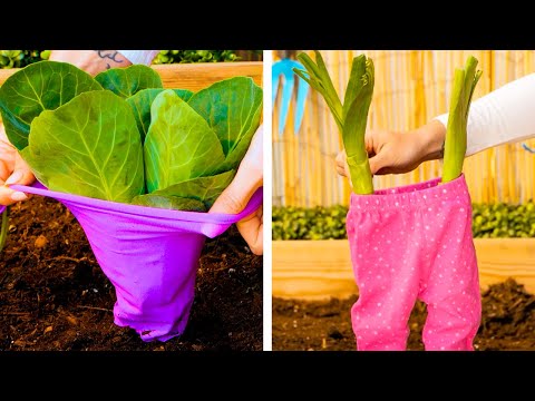 Useful Hacks to Make Gardening Easier