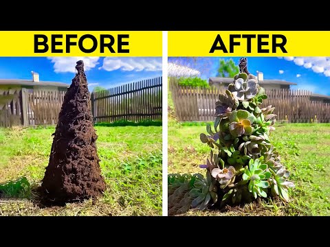 Super Gardening Hacks to make your Plants look Amazing