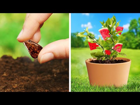 Cool Aloe Vera Hacks And Natural Beauty Tips