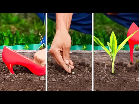 Useful and Cheap Crafts for Backyard. Eco-friendly Decor