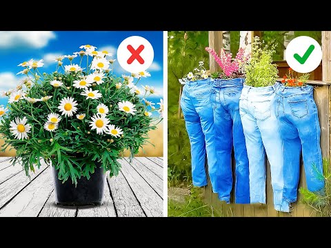 Backyard and Garden hacks to make your Plant perfect