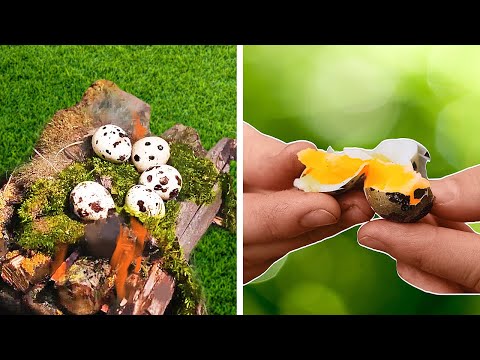 Camping Food ideas. Easy Ways to be FED in the wild