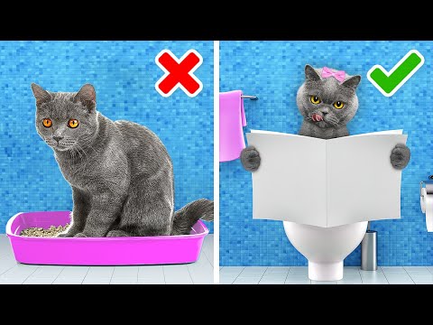 Amazing Pet hacks for your lovely cats and dogs