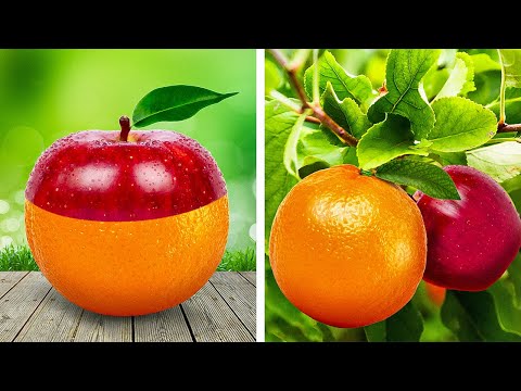 How to Grow plants in your Green Garden? Make it easy!