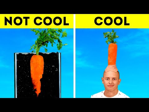 Crazy, Lazy and Effective Garden tips for everyone