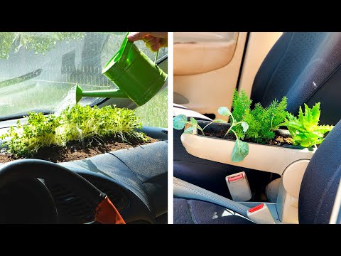 Effective Garden Hacks For Everyone!