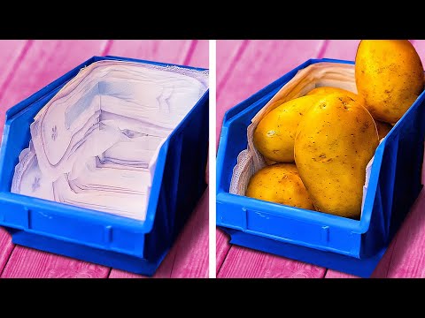 Smart Food preserving ideas to Keep your Products Fresh for a long time