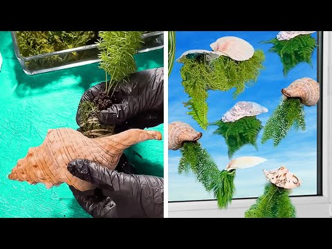 How to Grow a Perfect Garden? Simple but Genius Ideas for Plants