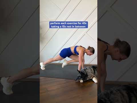 5 MIN DAILY ABS WORKOUT