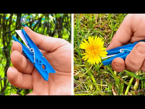 DIY Garden tools to make you plant Master!