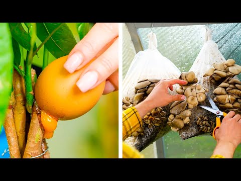 Genius gardening hacks that are actually useful