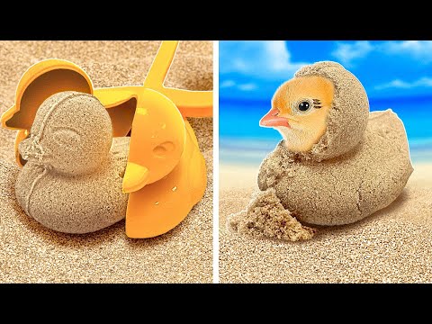 Summer gadgets and hacks for Beach and Swimming pool