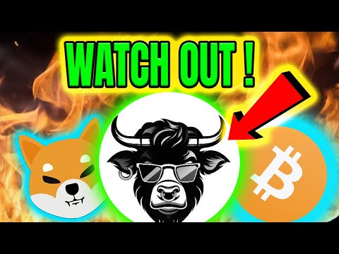 NEW MEMECOIN UPDATE! 🔥 BIG CATALYSTS TO WATCH OUT FOR?🔥