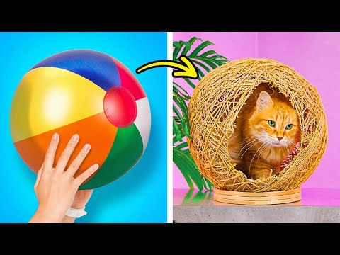 DIY Pet Accessories: Creative Crafts for Your Beloved Pet 🐱