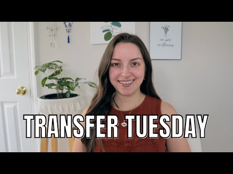 Transfer Tuesday | Ending the month strong!