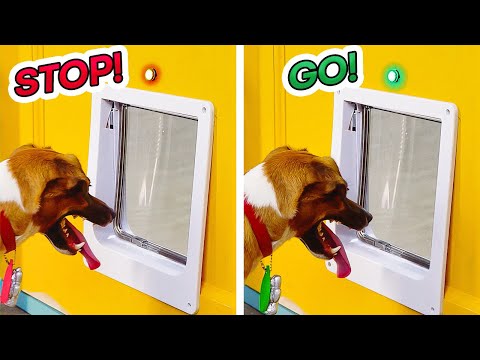 DIY Inventions for you and your Pets. Electric Gadgets for home