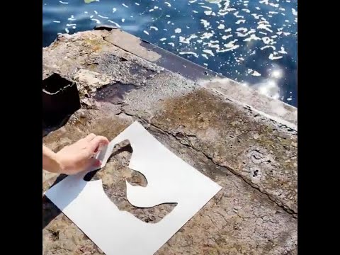 Graffiti art on the mole 🐠 #shorts
