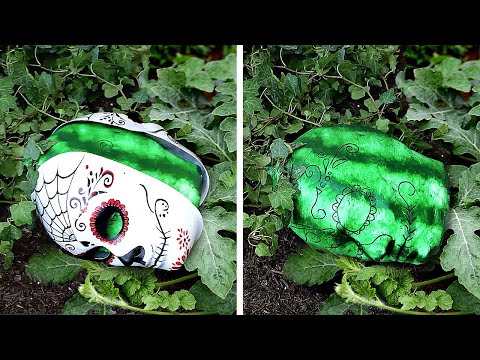 Gardening hacks to help you planting like a pro
