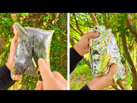Simple Solutions for Beginner Gardeners and PRO
