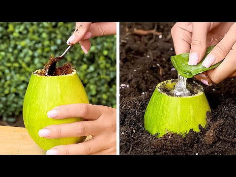 Grow your Garden Green and Blossom with these ideas!