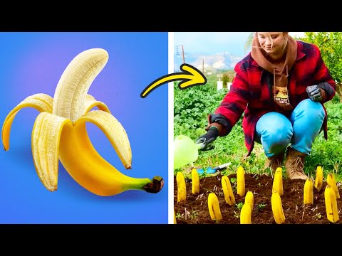 Boost Your Planting Skills With These Cool Hacks