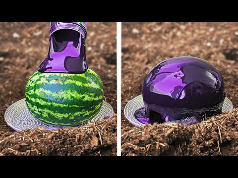 How to save your Food and Keep it fresh longer