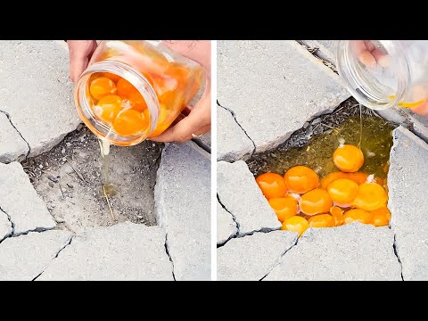 Eggs VS Eggshells. Make Impossible possible with these eggstremely ideas