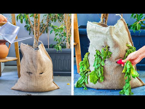 Simple Secrets to grow your Plants. Blooming garden in two steps