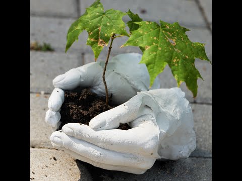 Save the planet with a personal touch 🌱