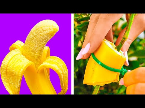 Budget-friendly gardening hacks for your home 🌳
