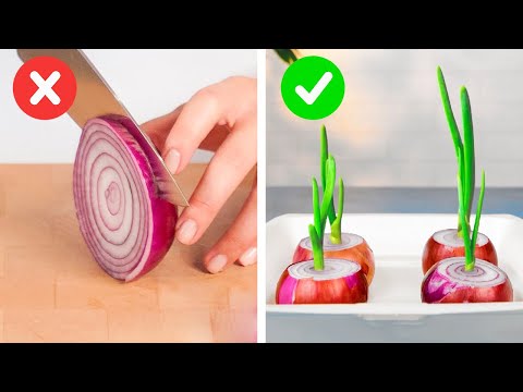 Genius Plant Growing Hacks You Should Try