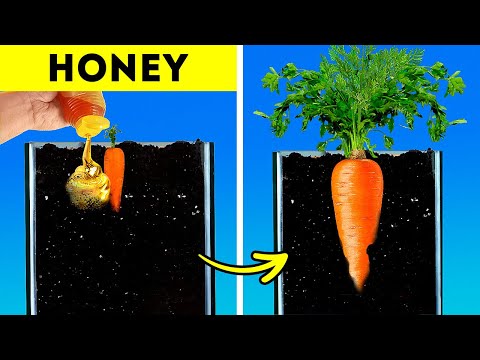 Planting a Lush Garden: Tips and Tricks 🧑‍🌾🌱