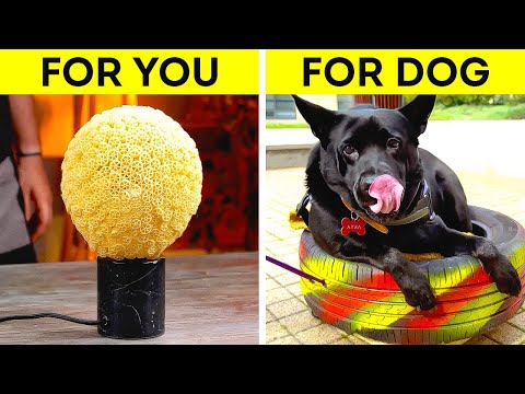 Adorable Decor ideas for You and your Pets
