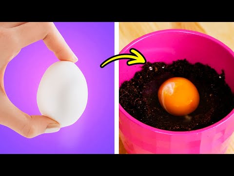 Great Gardeners hacks