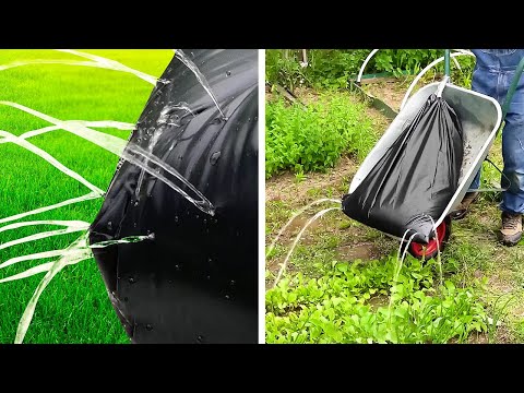 Outstanding Backyard crafts you can make with your own hands