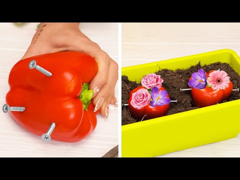 Essential Plant hacks to Grow extremely Green Garden