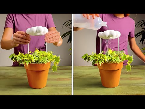 HousePlant tip for Beginners and Profi. Great Gardeners hacks