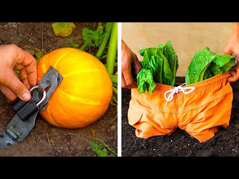Genius Gardening Tips And Plant Growing Hacks