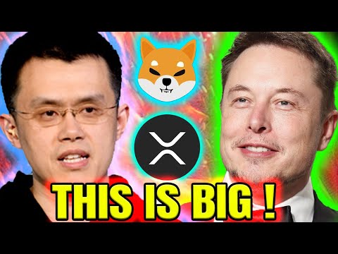 BREAKING CRYPTO NEWS TODAY!🎃 *THIS* IS LOOKING BULLISH! 👀📈🎃 CRYPTO LATEST UPDATE 🎃 BTC NEWS TODAY