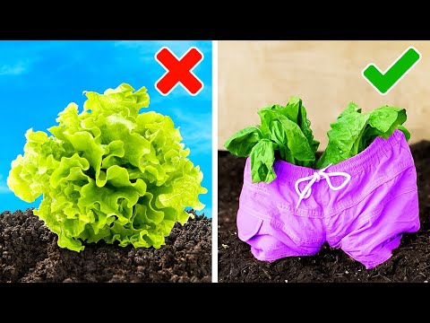 How to grow Garden everywhere you want
