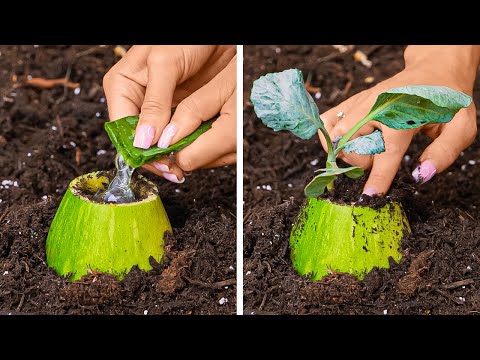 Cool Gardening hacks for Plant lovers